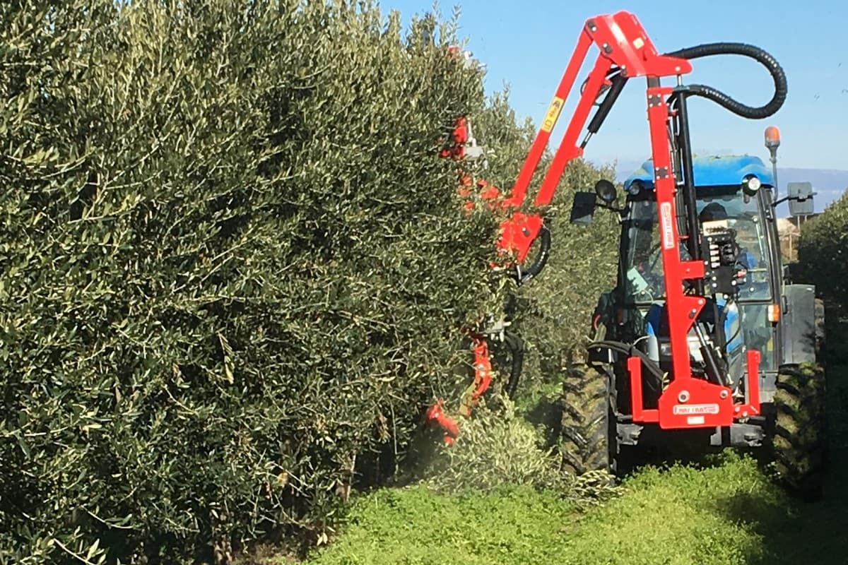 SUPER STAR de Campagnola en campo