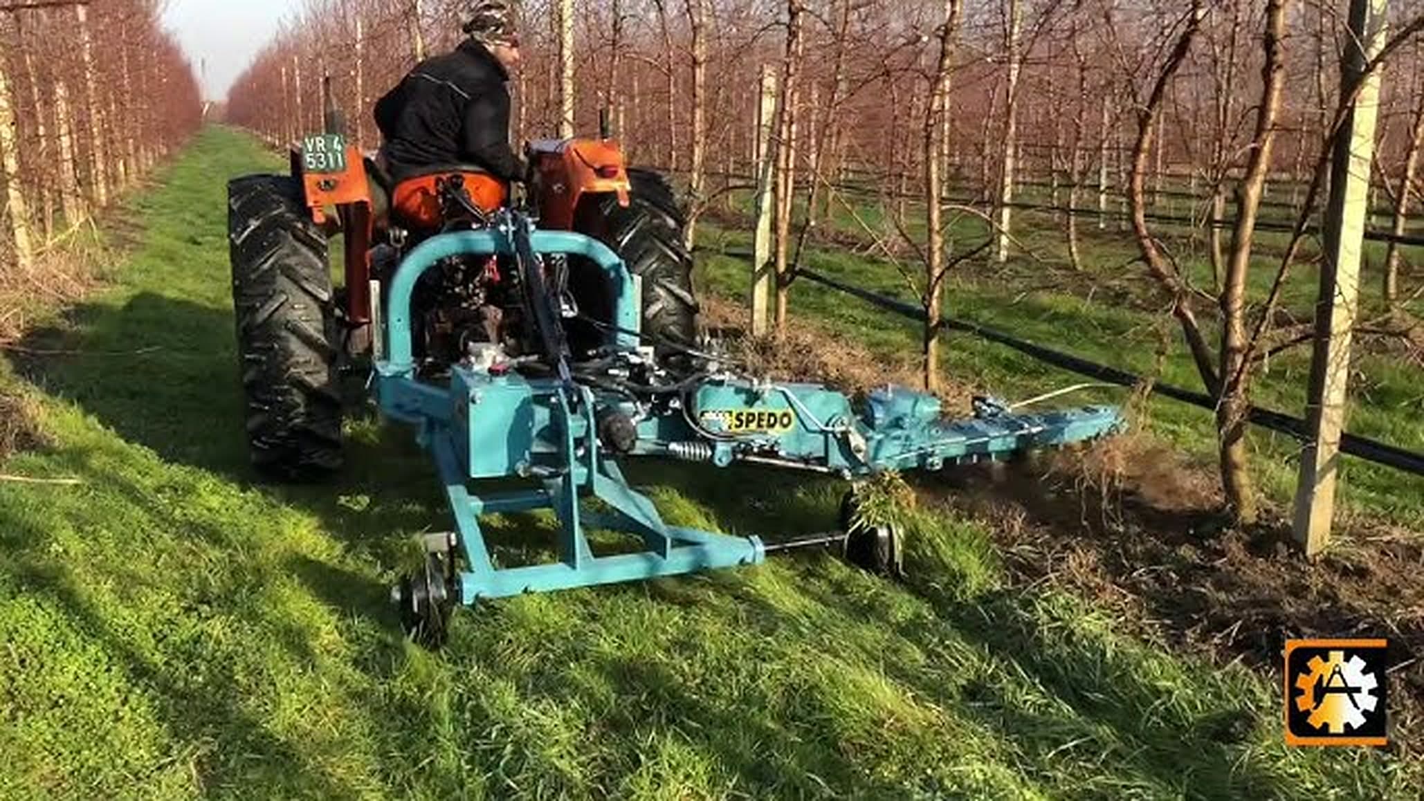 Un interfilar SPEDO trabajando la franja bajo la hilera en un huerto de árbol